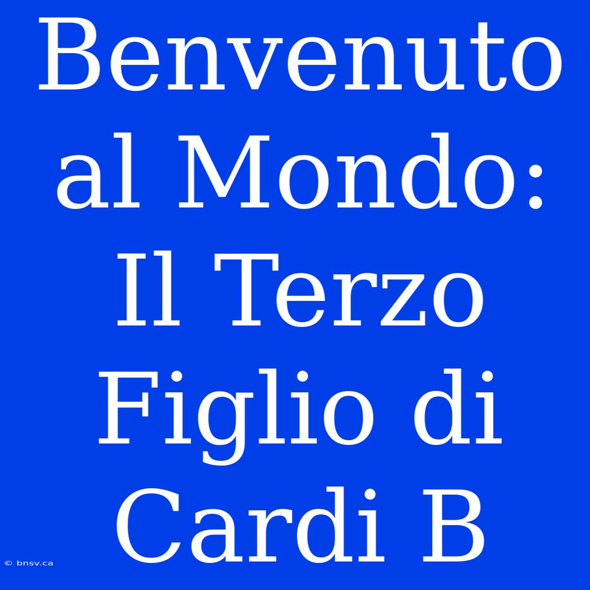 Benvenuto Al Mondo: Il Terzo Figlio Di Cardi B