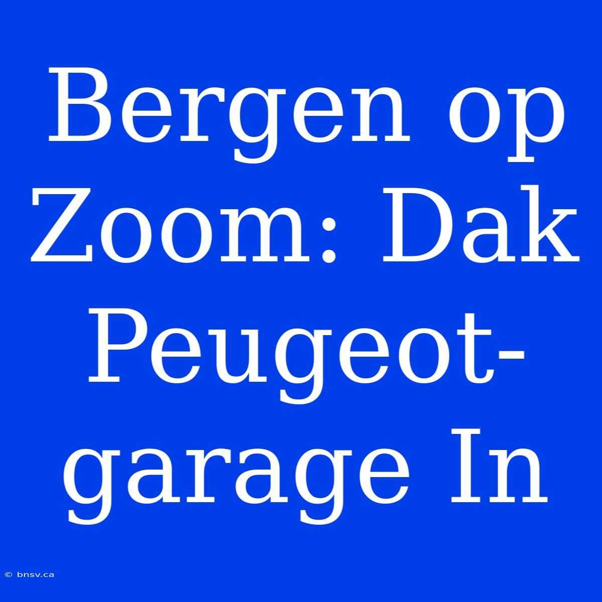 Bergen Op Zoom: Dak Peugeot-garage In