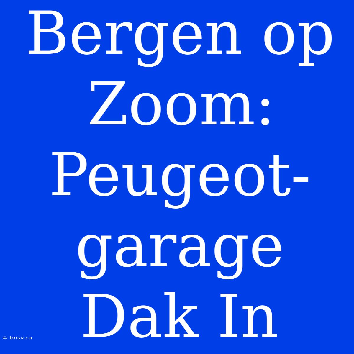 Bergen Op Zoom: Peugeot-garage Dak In