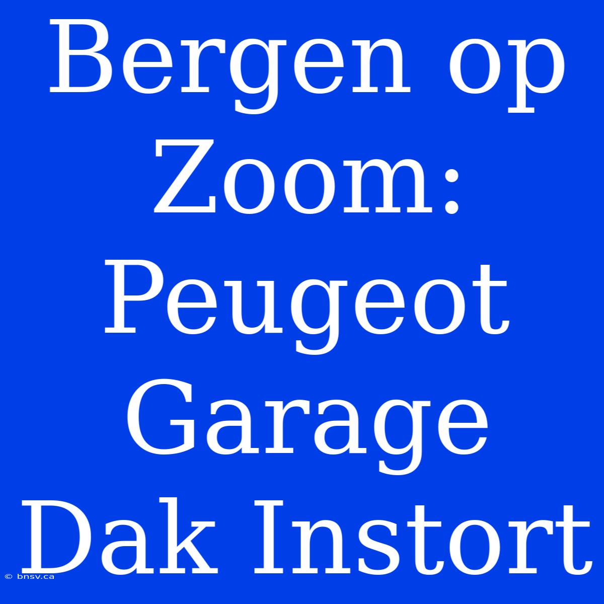 Bergen Op Zoom: Peugeot Garage Dak Instort