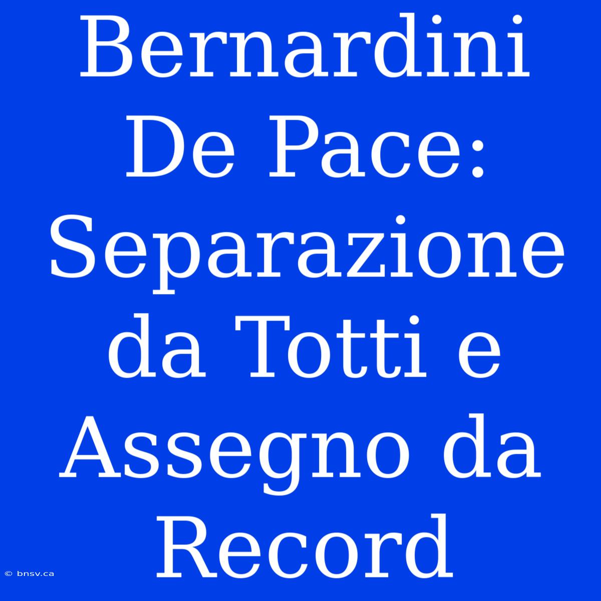 Bernardini De Pace: Separazione Da Totti E Assegno Da Record