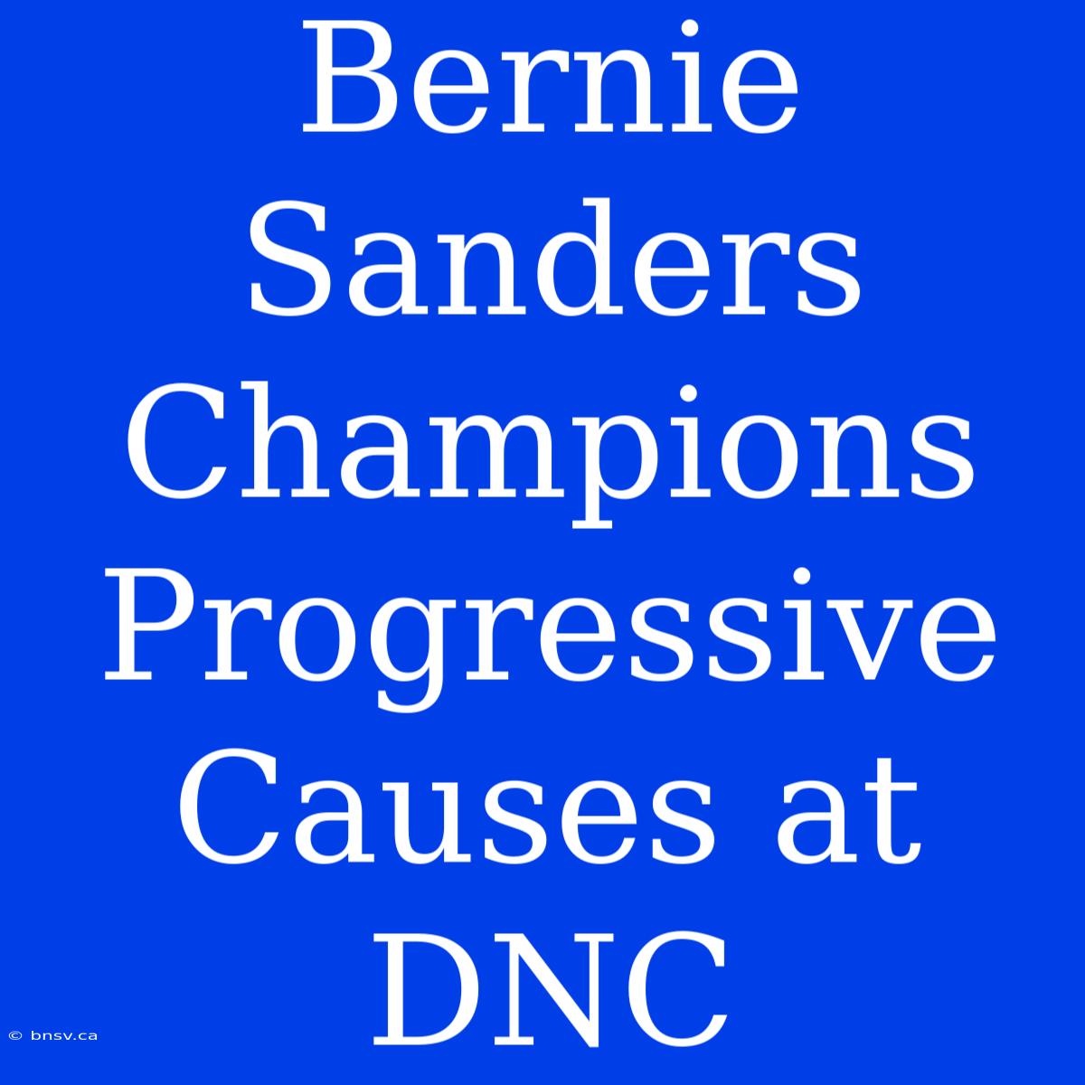 Bernie Sanders Champions Progressive Causes At DNC