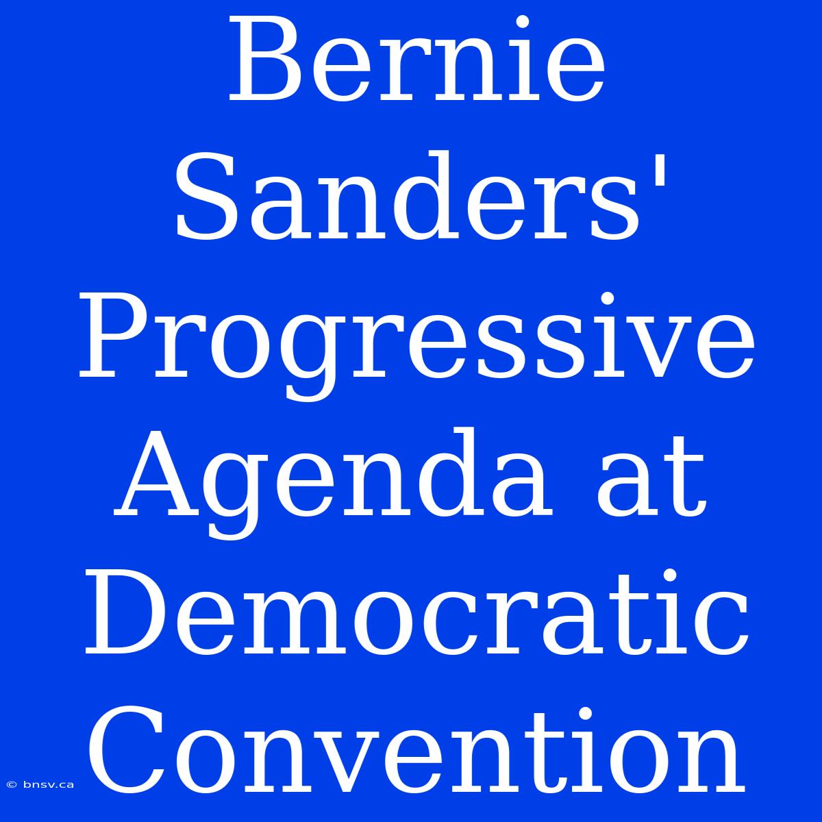 Bernie Sanders' Progressive Agenda At Democratic Convention