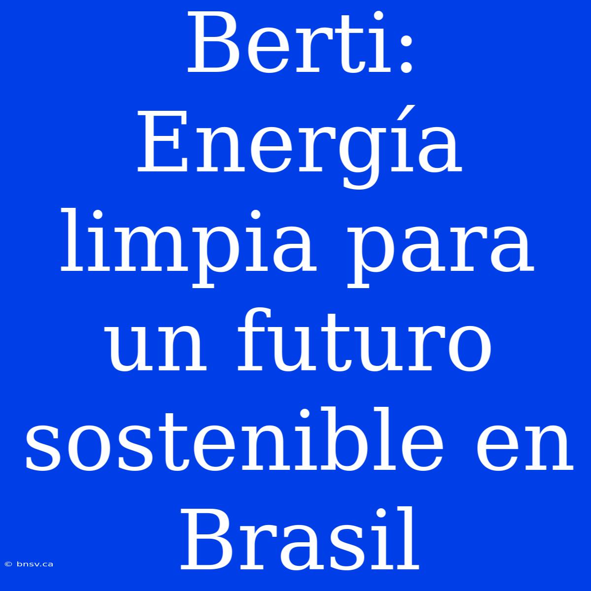 Berti:  Energía Limpia Para Un Futuro Sostenible En Brasil