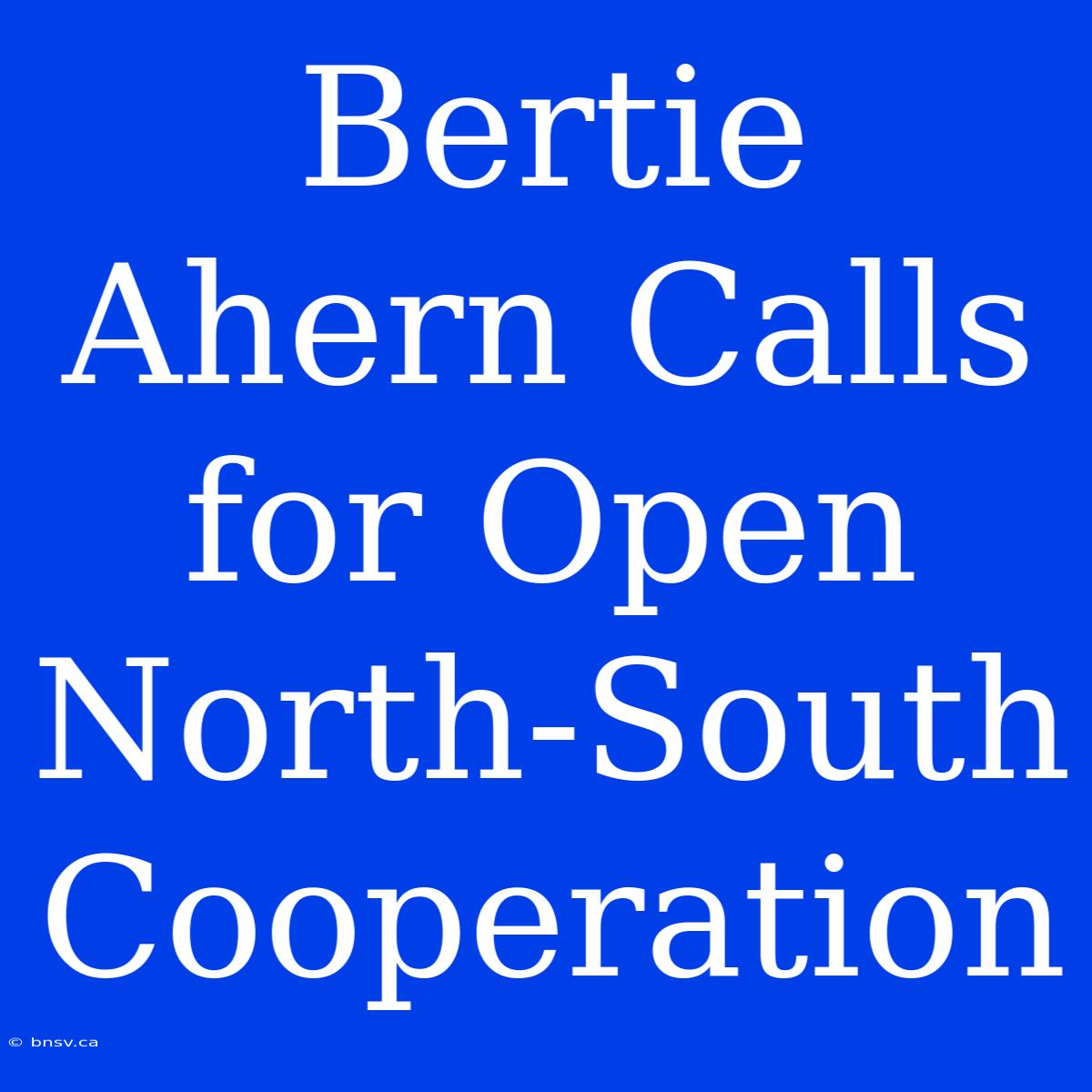 Bertie Ahern Calls For Open North-South Cooperation