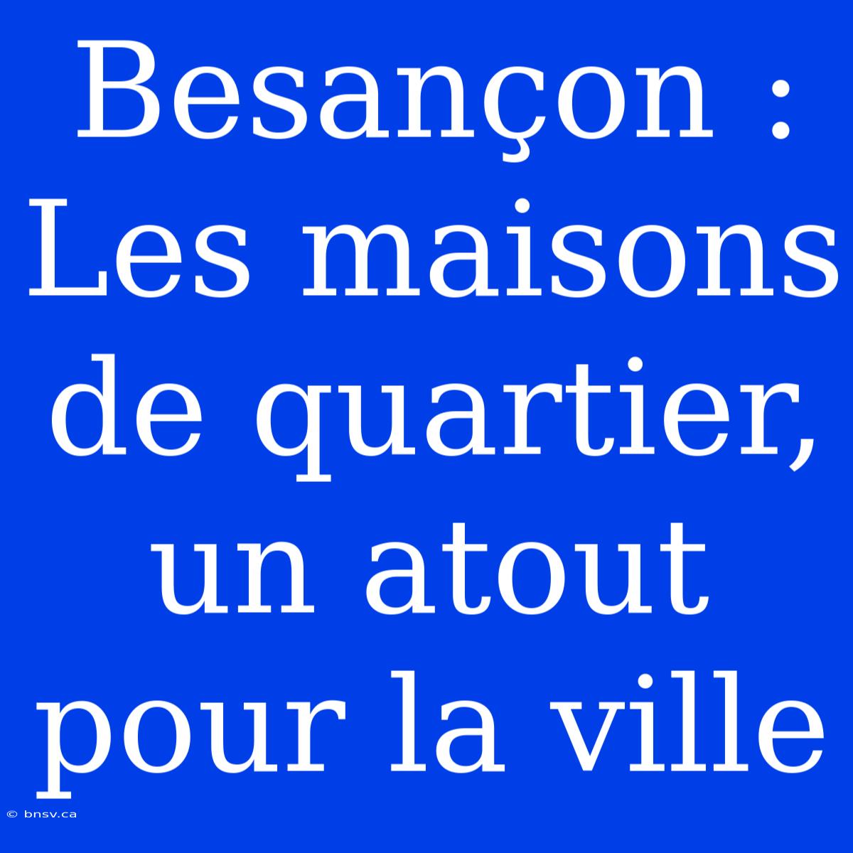 Besançon : Les Maisons De Quartier, Un Atout Pour La Ville