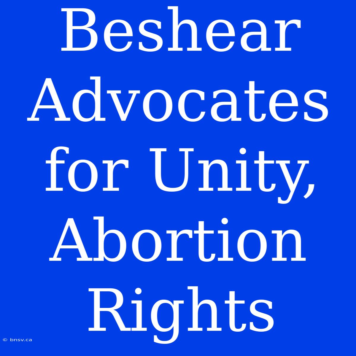 Beshear Advocates For Unity, Abortion Rights