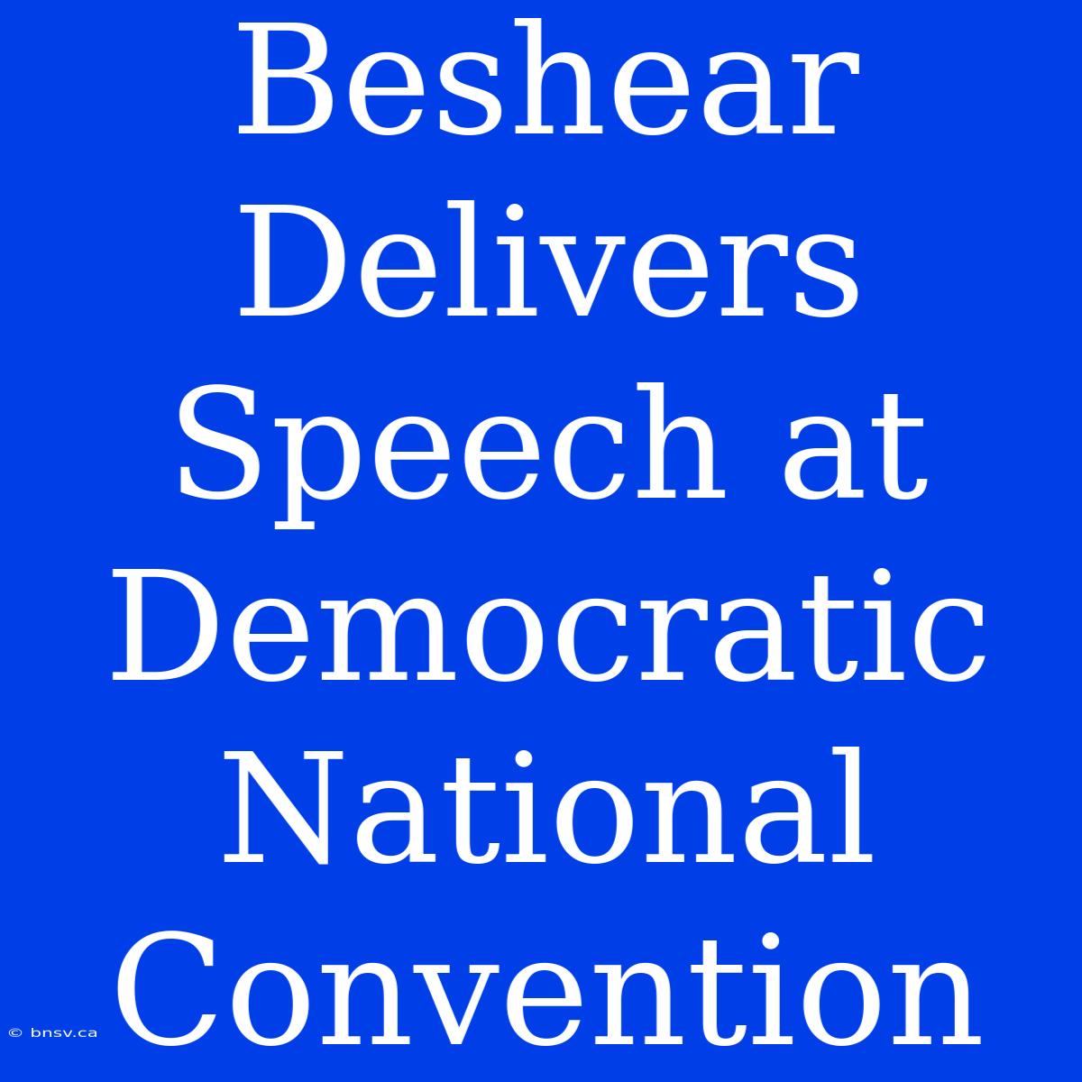 Beshear Delivers Speech At Democratic National Convention