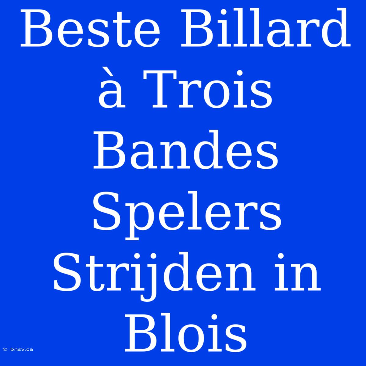 Beste Billard À Trois Bandes Spelers Strijden In Blois