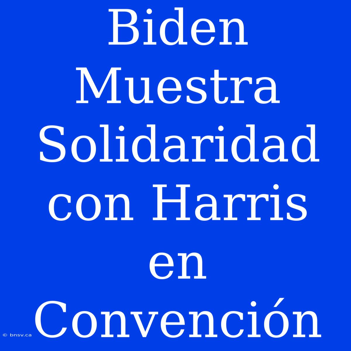 Biden Muestra Solidaridad Con Harris En Convención