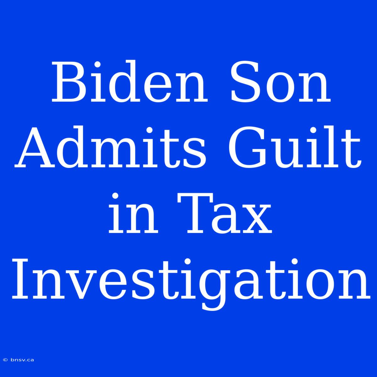 Biden Son Admits Guilt In Tax Investigation