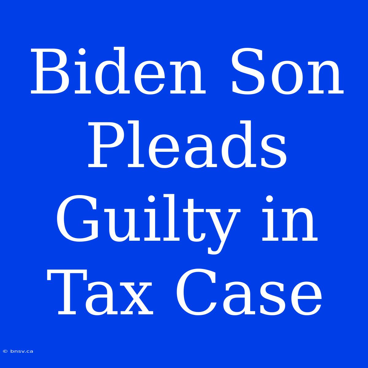 Biden Son Pleads Guilty In Tax Case