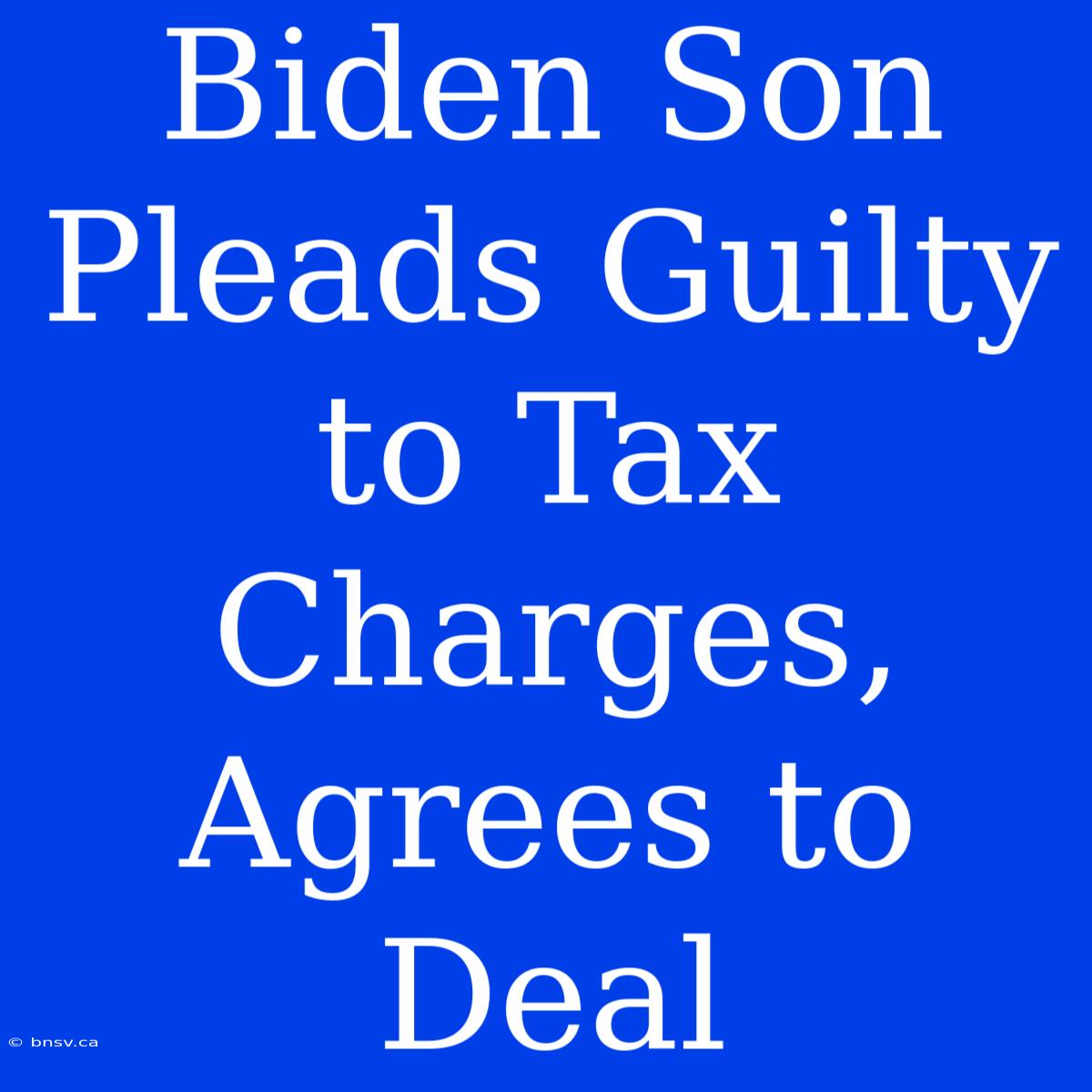 Biden Son Pleads Guilty To Tax Charges, Agrees To Deal