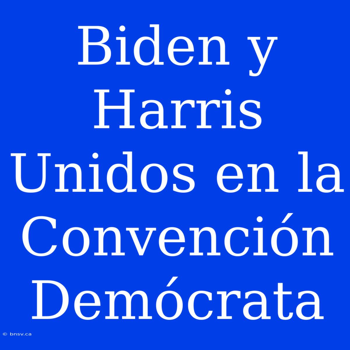 Biden Y Harris Unidos En La Convención Demócrata