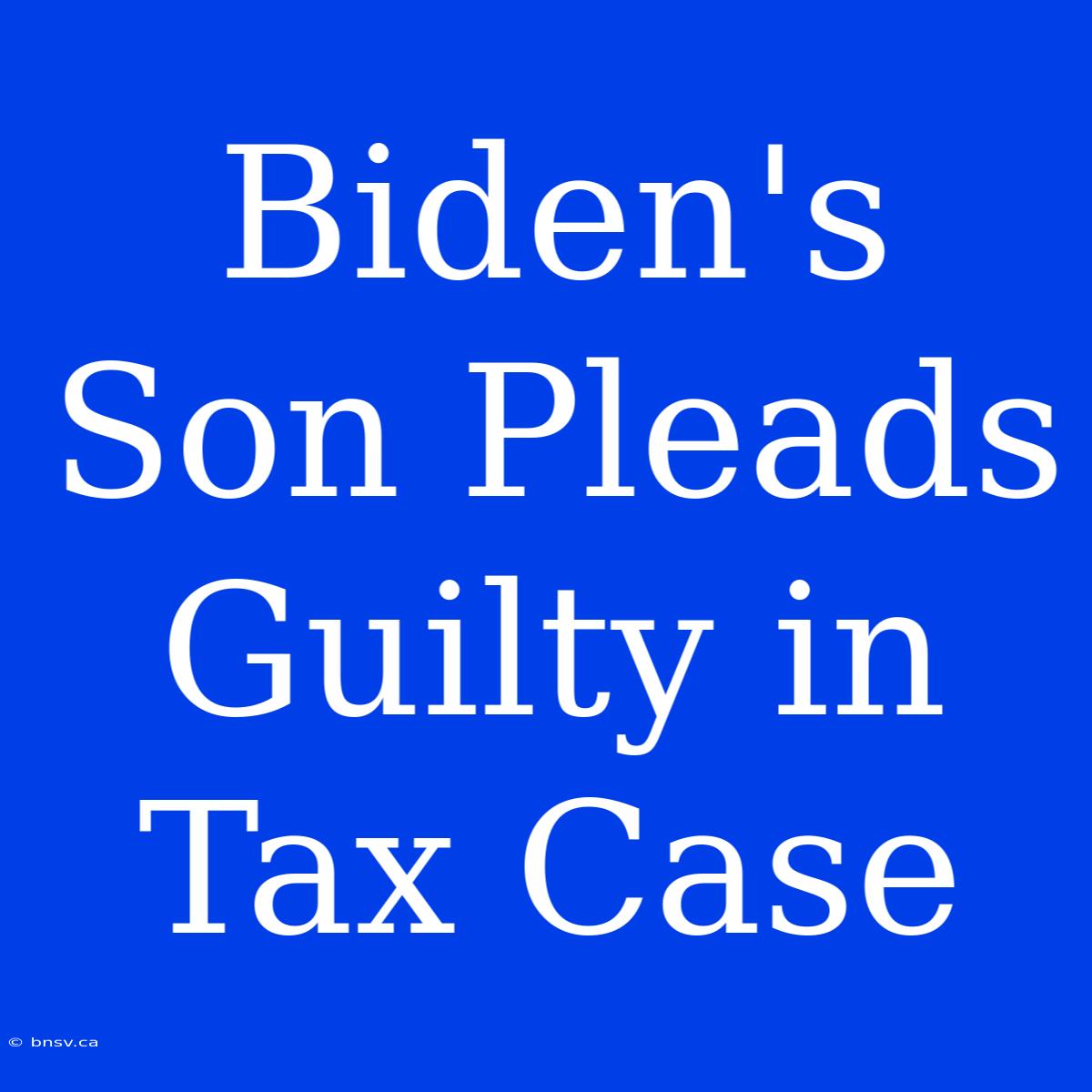 Biden's Son Pleads Guilty In Tax Case