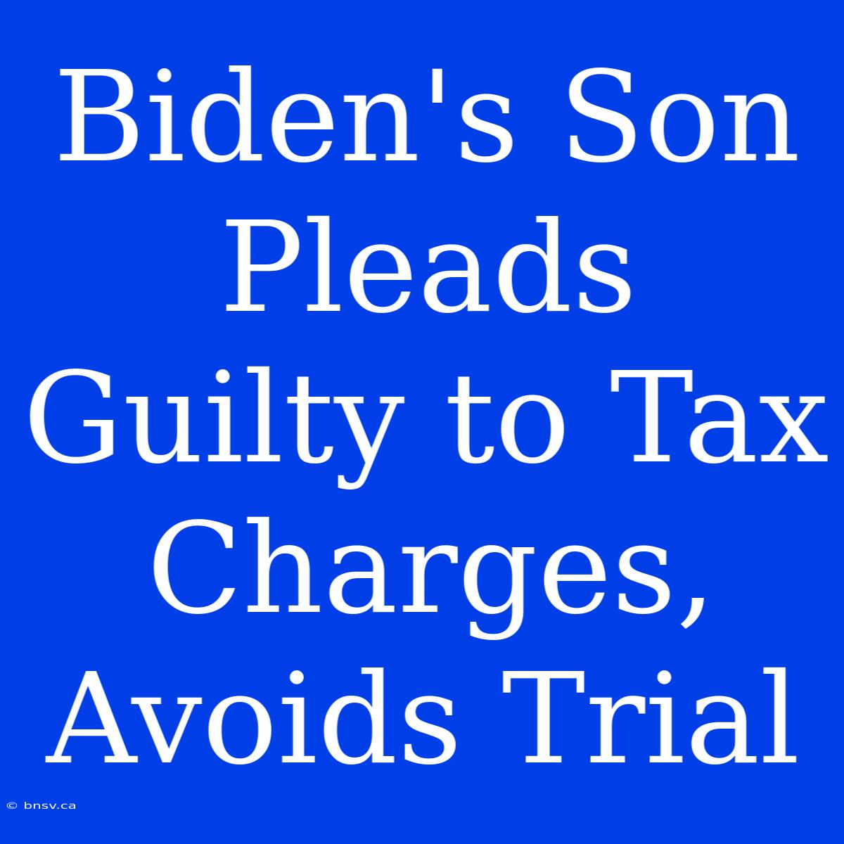 Biden's Son Pleads Guilty To Tax Charges, Avoids Trial