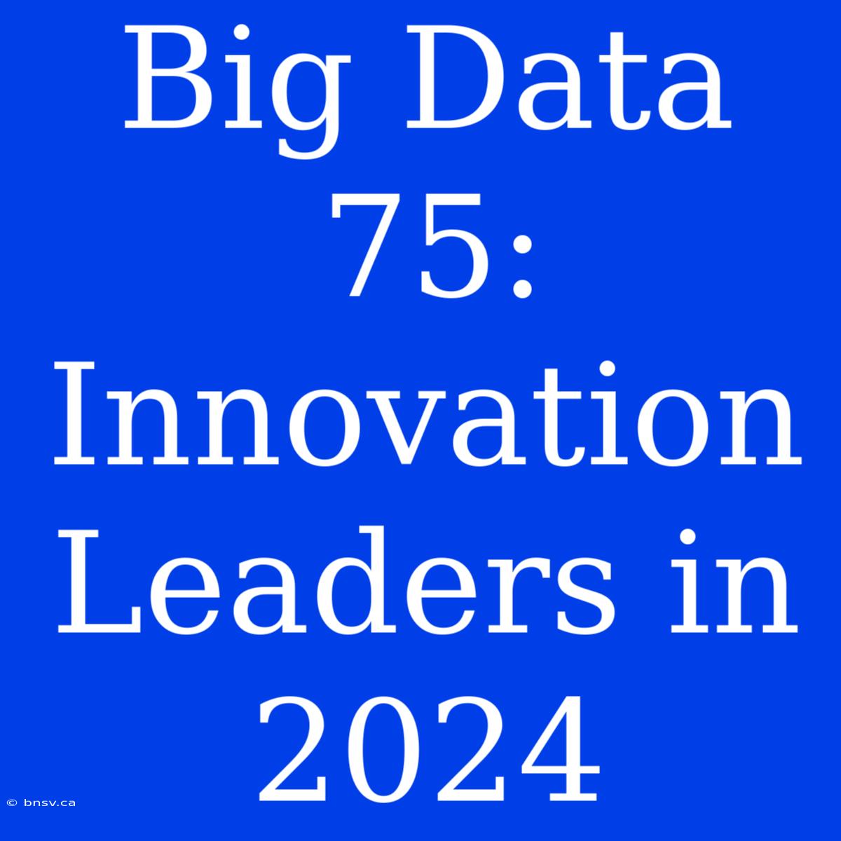 Big Data 75: Innovation Leaders In 2024