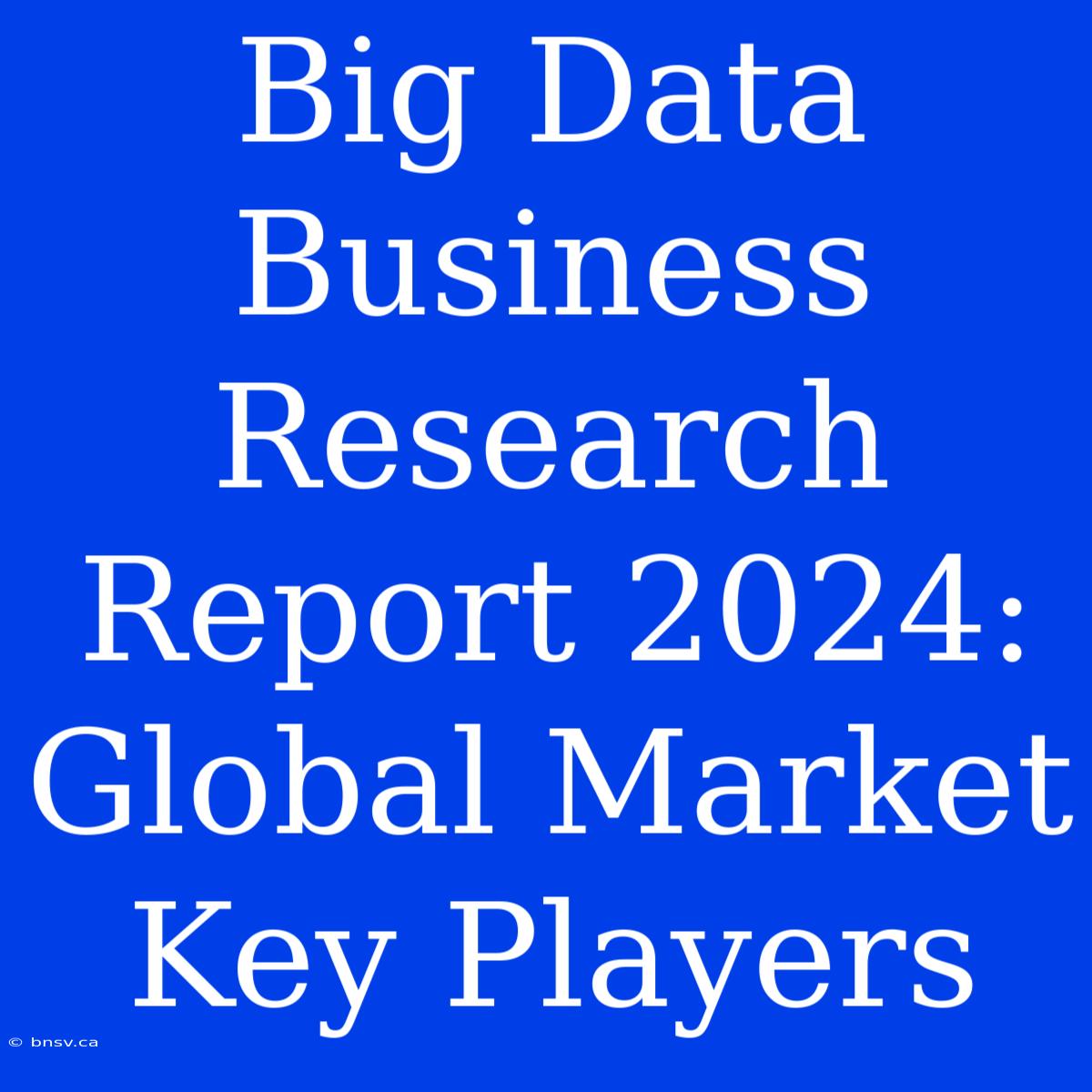 Big Data Business Research Report 2024: Global Market Key Players