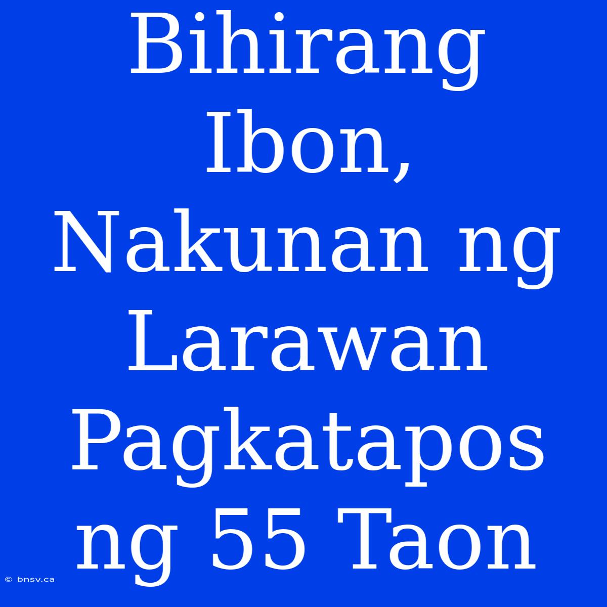 Bihirang Ibon, Nakunan Ng Larawan Pagkatapos Ng 55 Taon