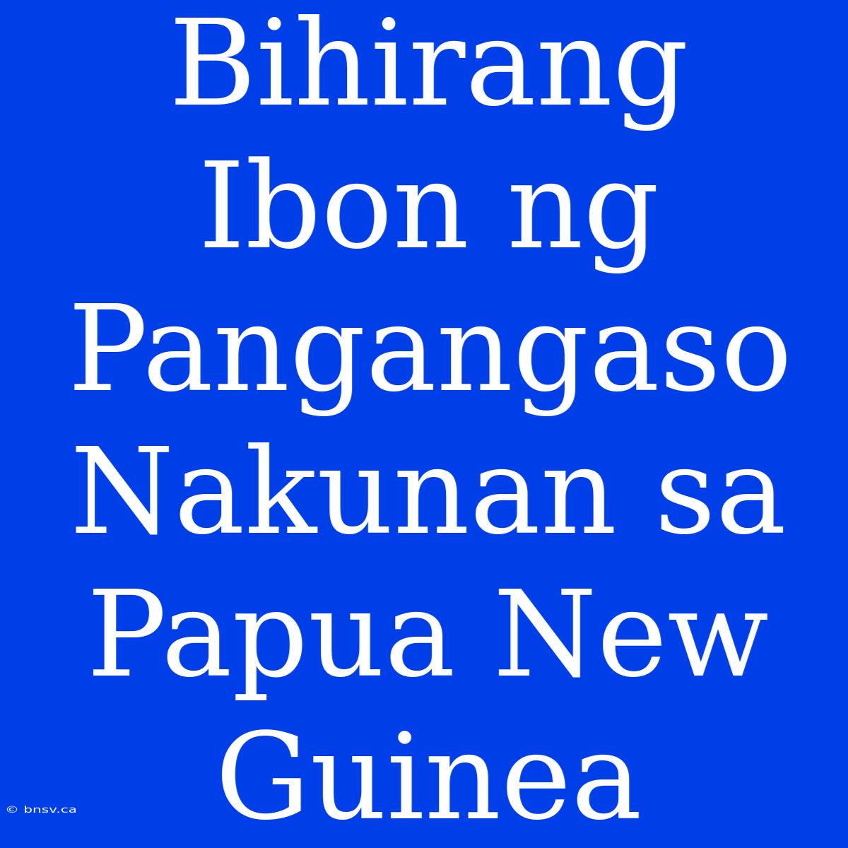 Bihirang Ibon Ng Pangangaso Nakunan Sa Papua New Guinea