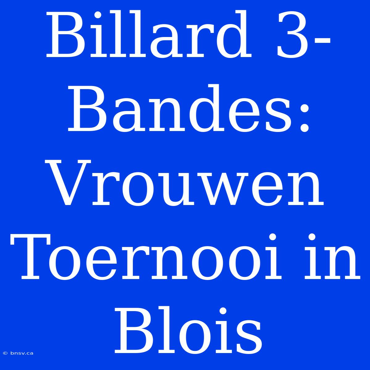 Billard 3-Bandes: Vrouwen Toernooi In Blois