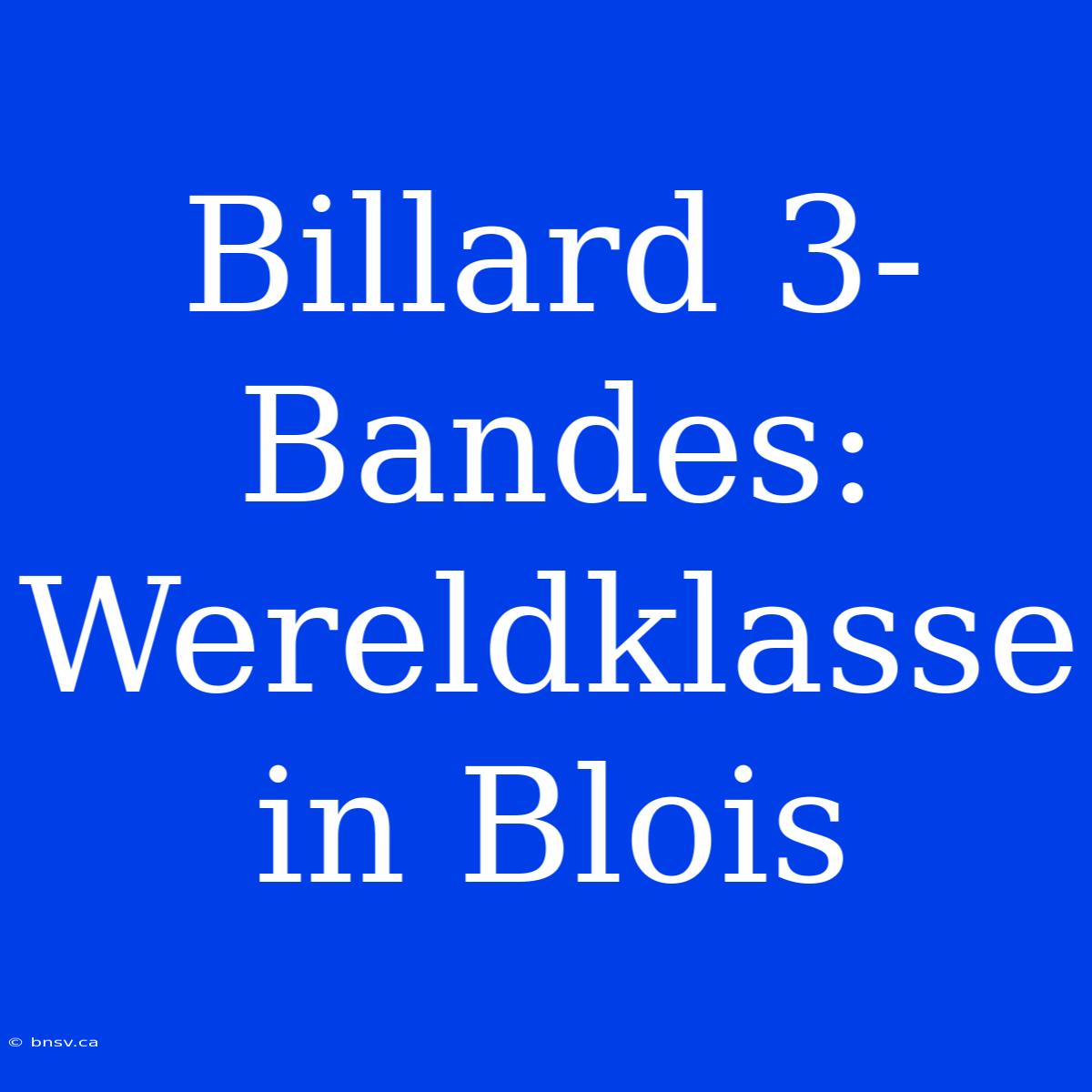 Billard 3-Bandes: Wereldklasse In Blois