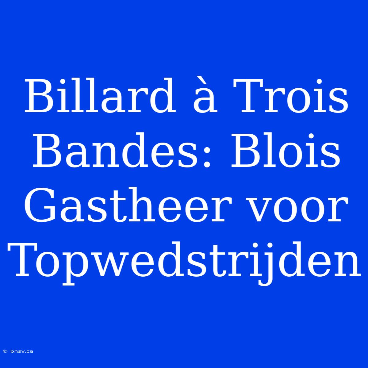 Billard À Trois Bandes: Blois Gastheer Voor Topwedstrijden