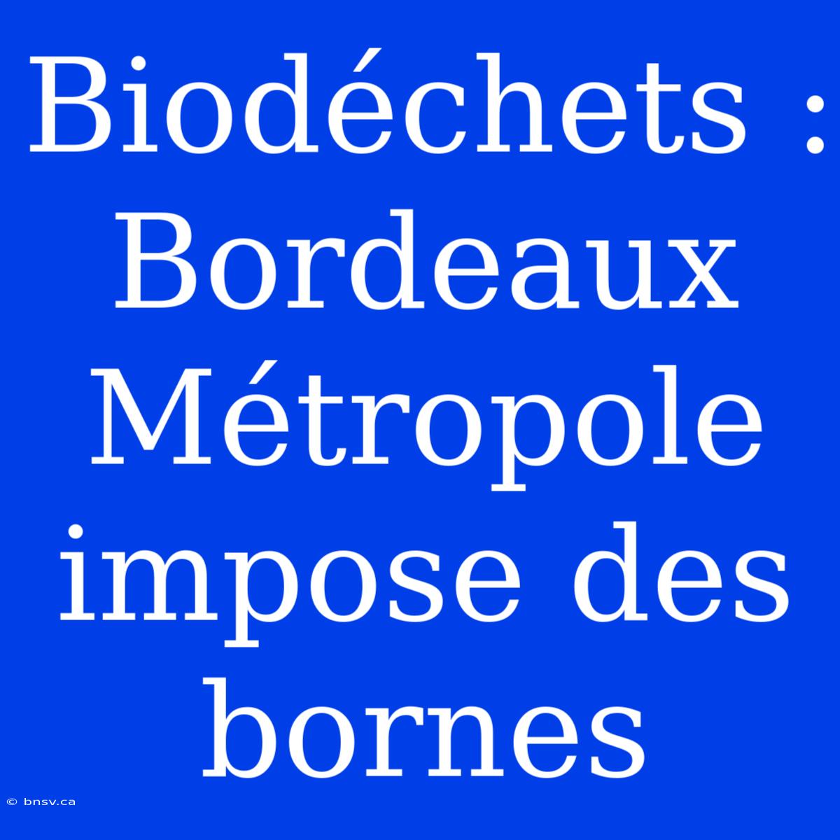 Biodéchets : Bordeaux Métropole Impose Des Bornes