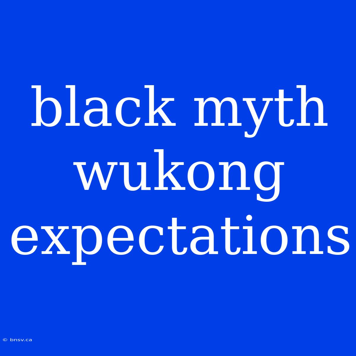 Black Myth Wukong Expectations