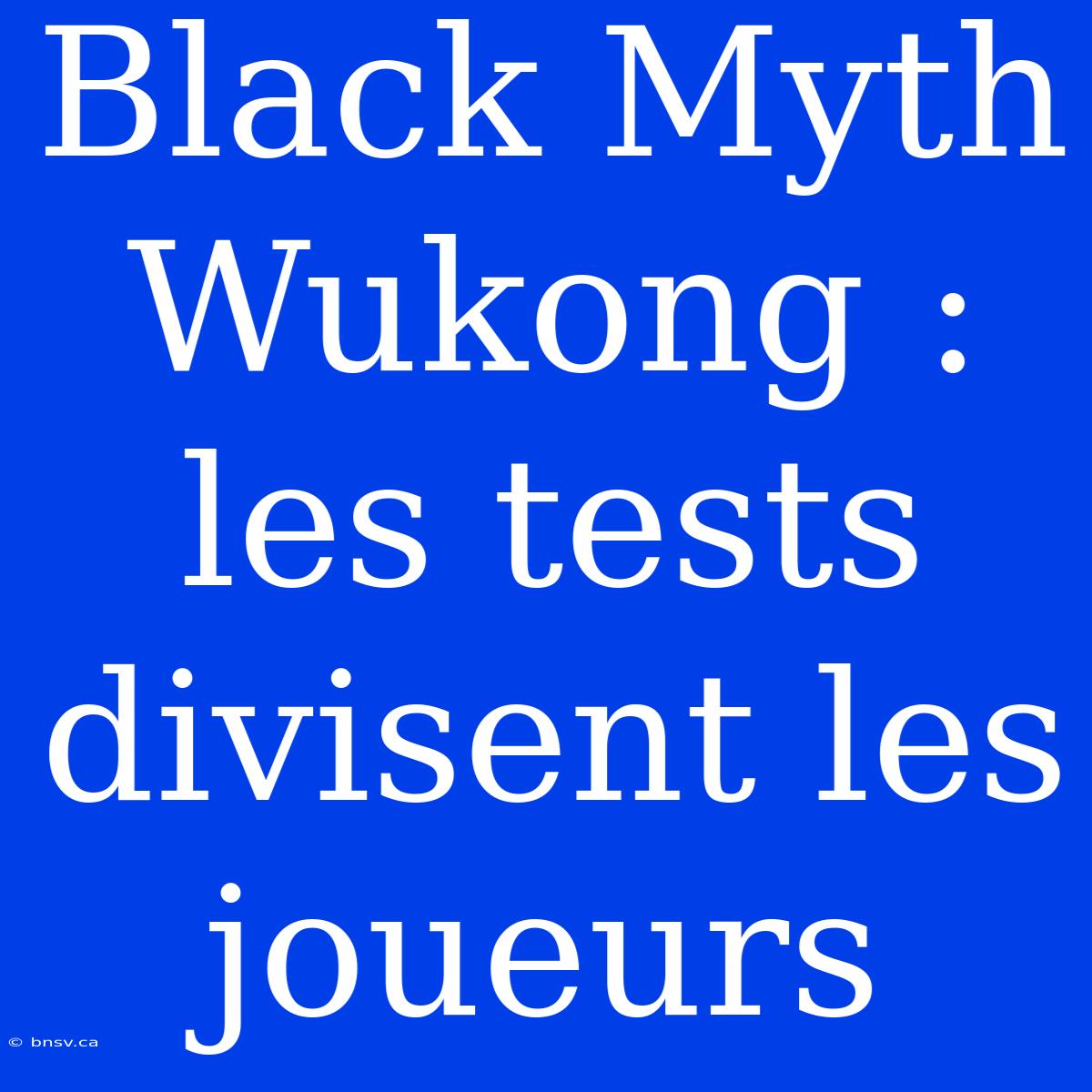 Black Myth Wukong : Les Tests Divisent Les Joueurs