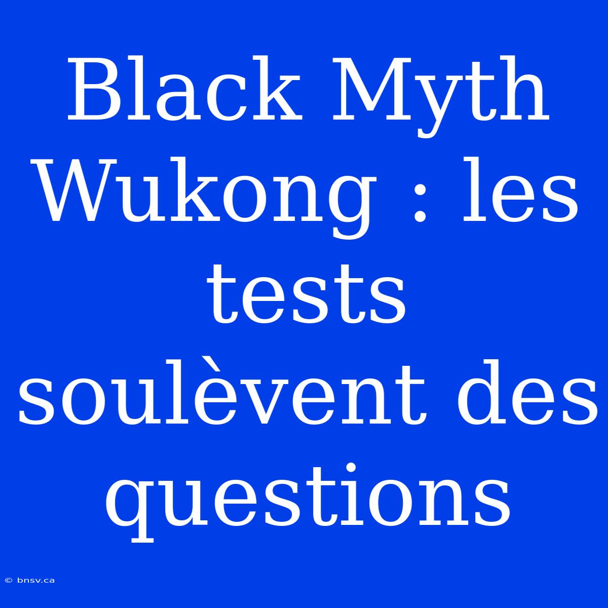 Black Myth Wukong : Les Tests Soulèvent Des Questions