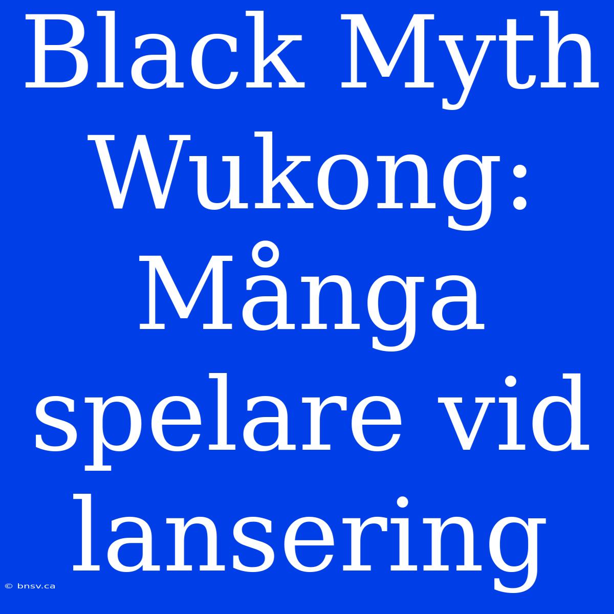 Black Myth Wukong: Många Spelare Vid Lansering