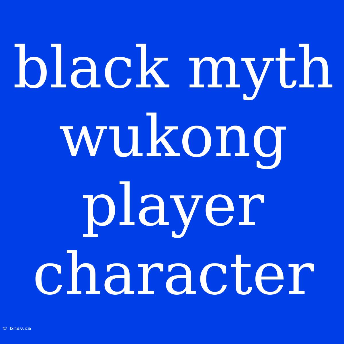 Black Myth Wukong Player Character