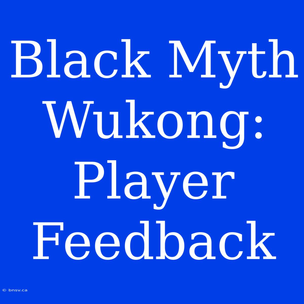 Black Myth Wukong: Player Feedback