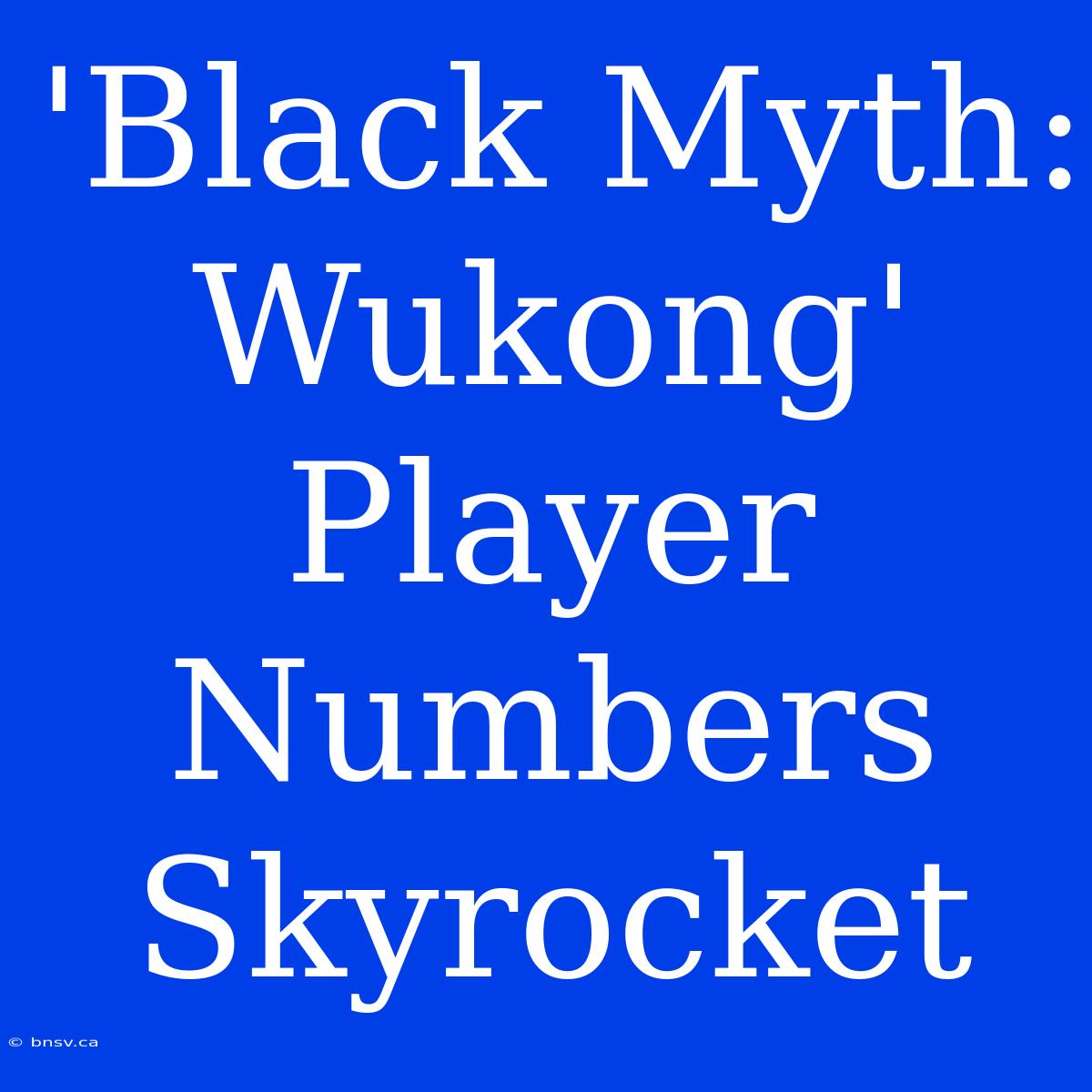 'Black Myth: Wukong' Player Numbers Skyrocket