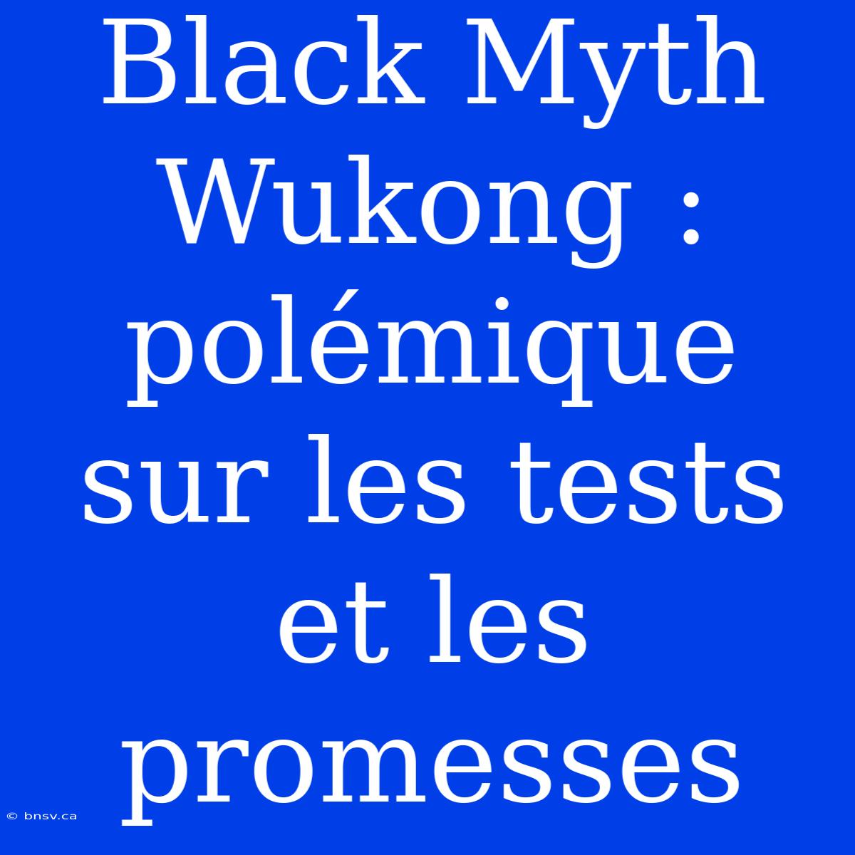 Black Myth Wukong : Polémique Sur Les Tests Et Les Promesses