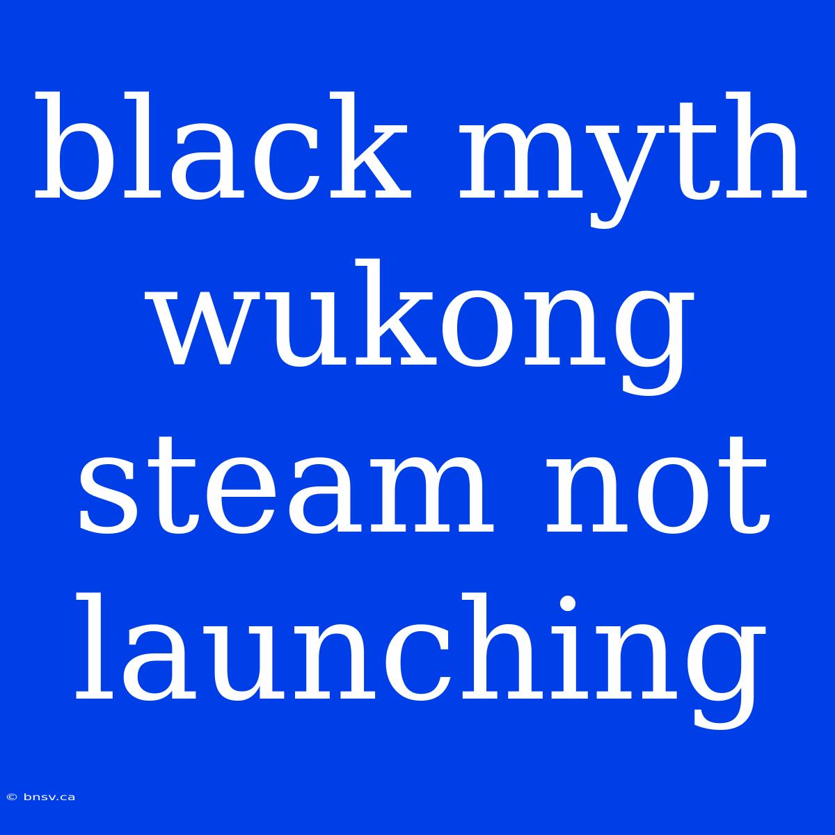 Black Myth Wukong Steam Not Launching