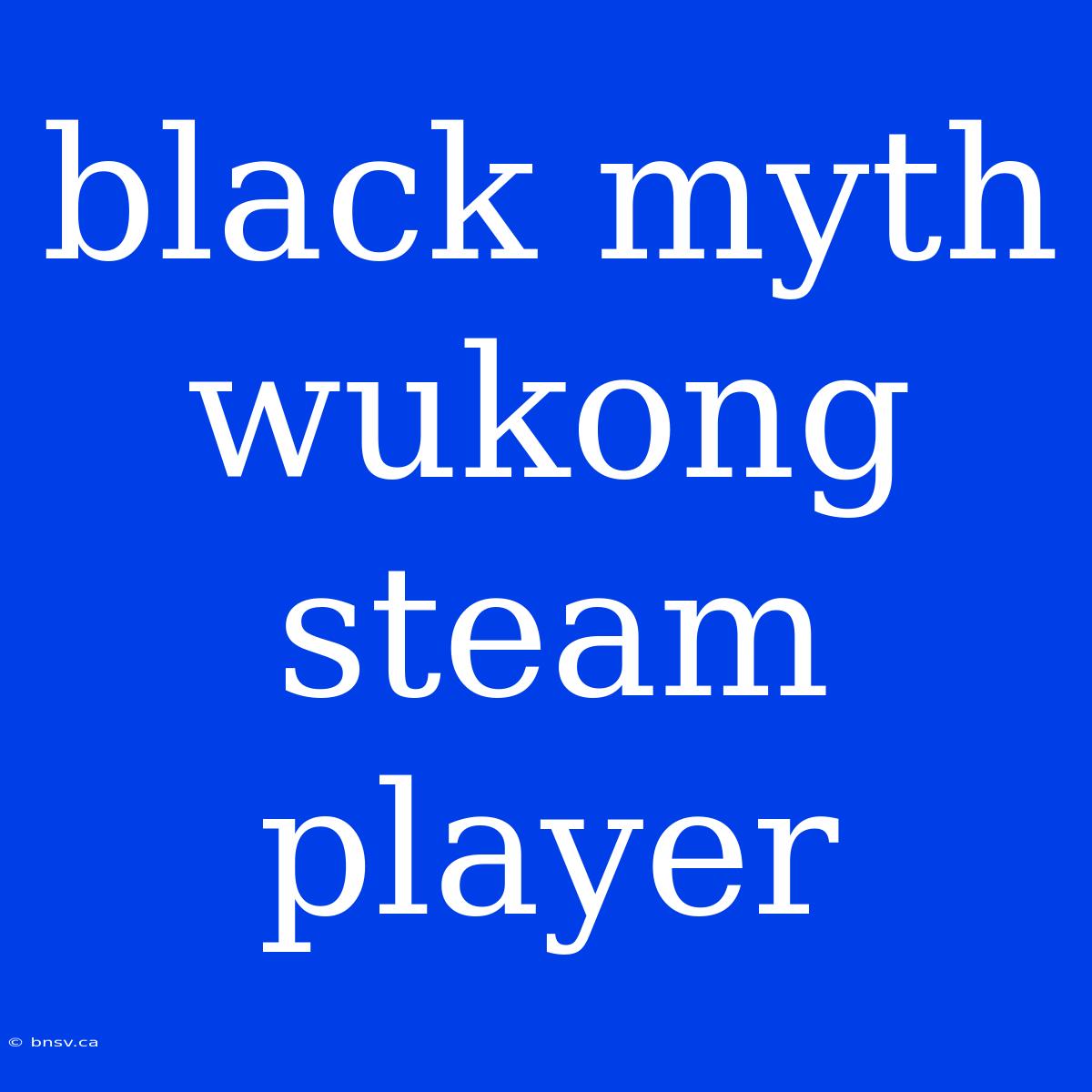 Black Myth Wukong Steam Player