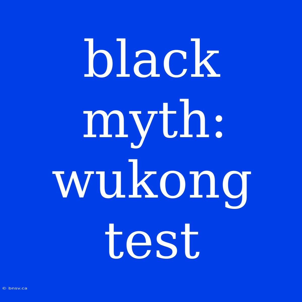 Black Myth: Wukong Test