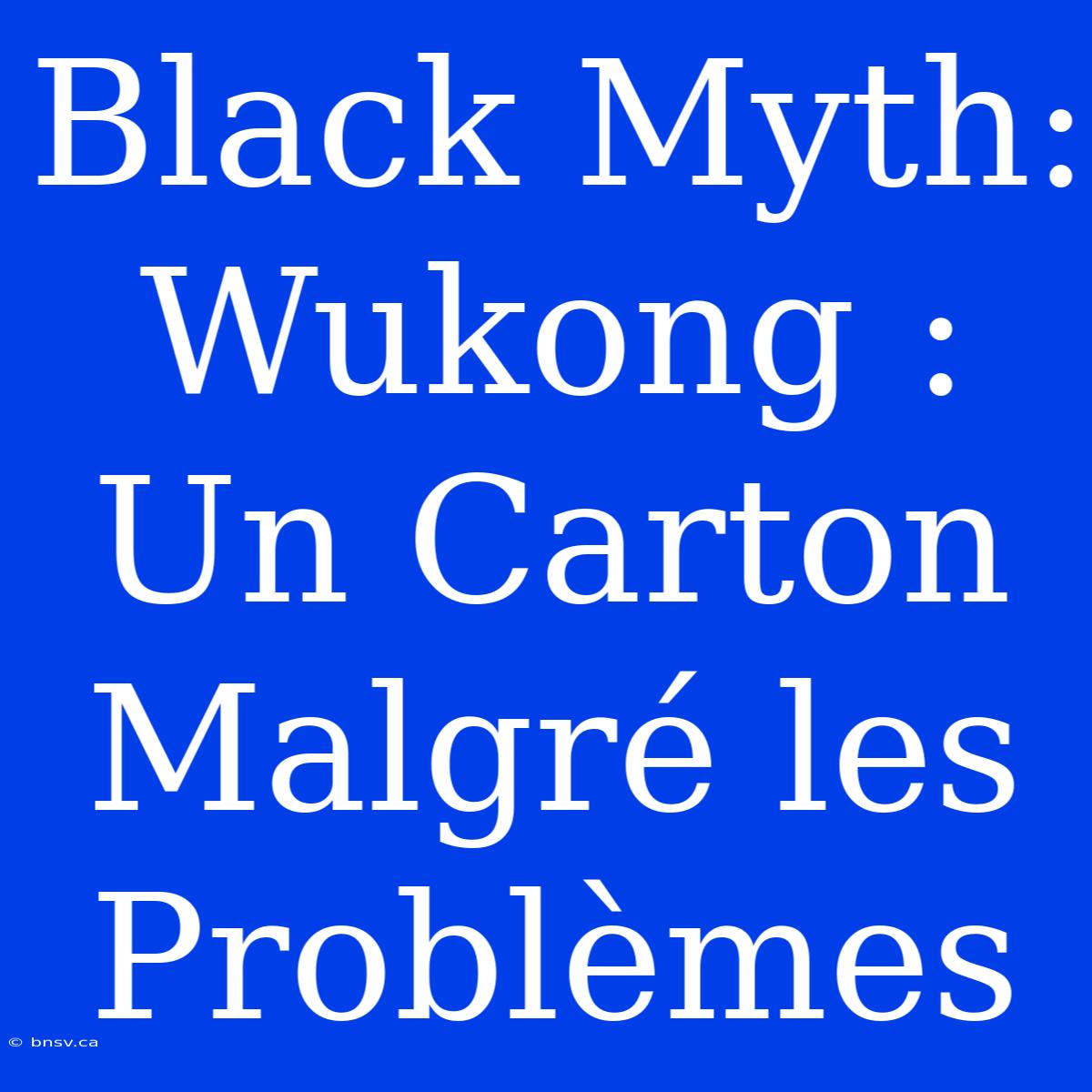 Black Myth: Wukong : Un Carton Malgré Les Problèmes