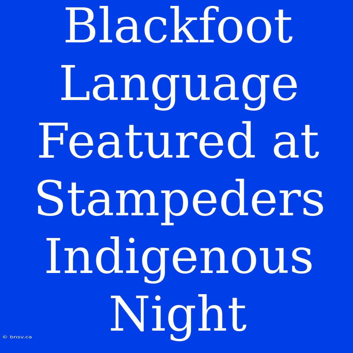 Blackfoot Language Featured At Stampeders Indigenous Night