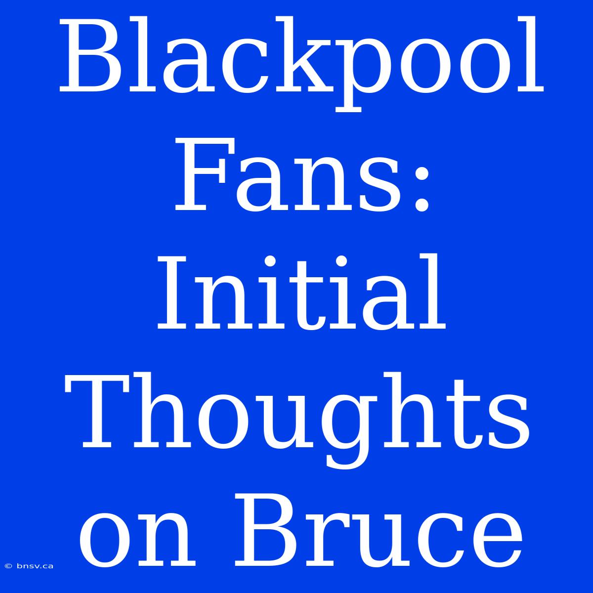 Blackpool Fans: Initial Thoughts On Bruce