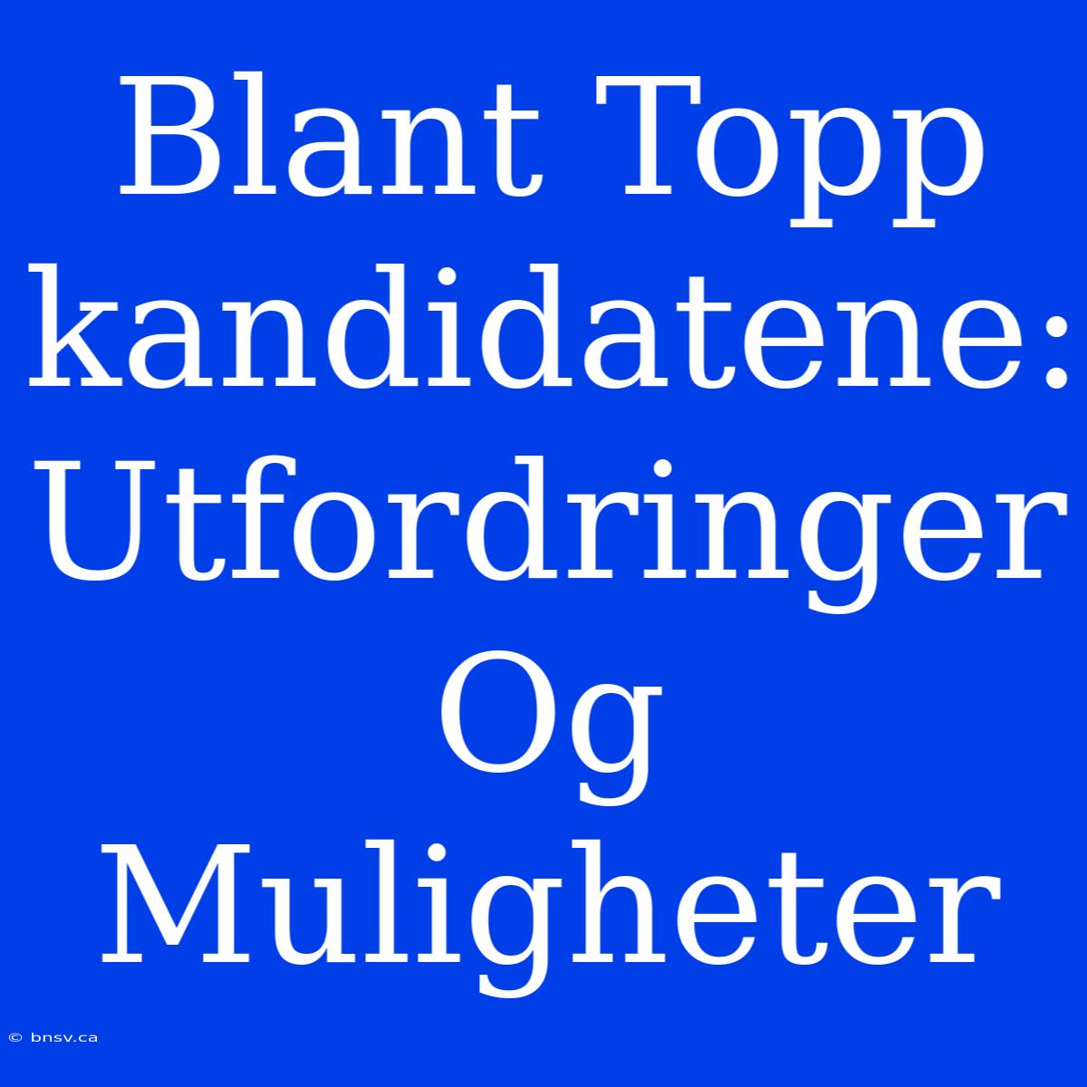 Blant Topp­kandidatene: Utfordringer Og Muligheter