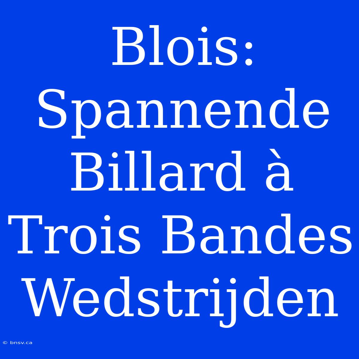 Blois: Spannende Billard À Trois Bandes Wedstrijden