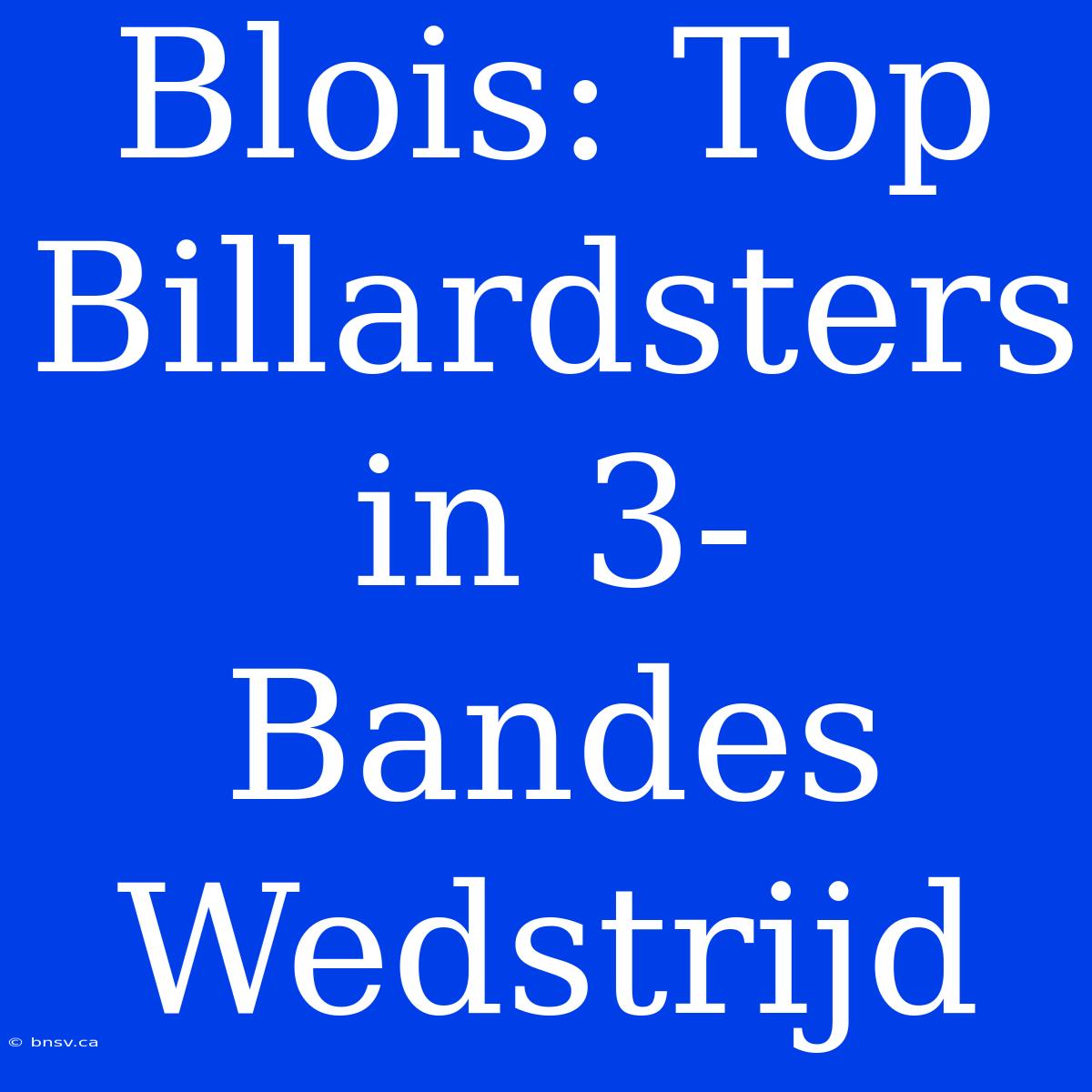 Blois: Top Billardsters In 3-Bandes Wedstrijd