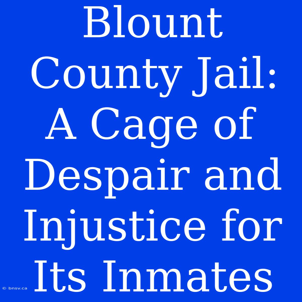 Blount County Jail: A Cage Of Despair And Injustice For Its Inmates