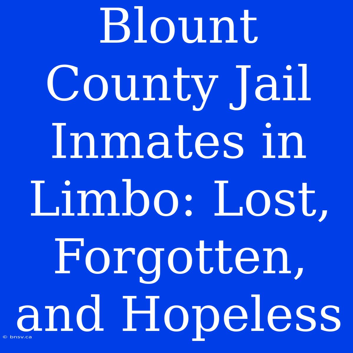 Blount County Jail Inmates In Limbo: Lost, Forgotten, And Hopeless