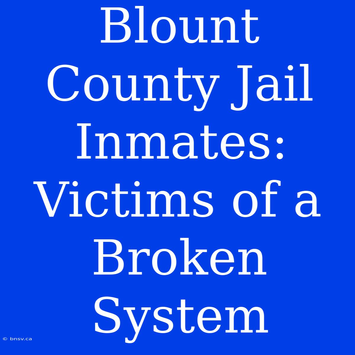 Blount County Jail Inmates: Victims Of A Broken System