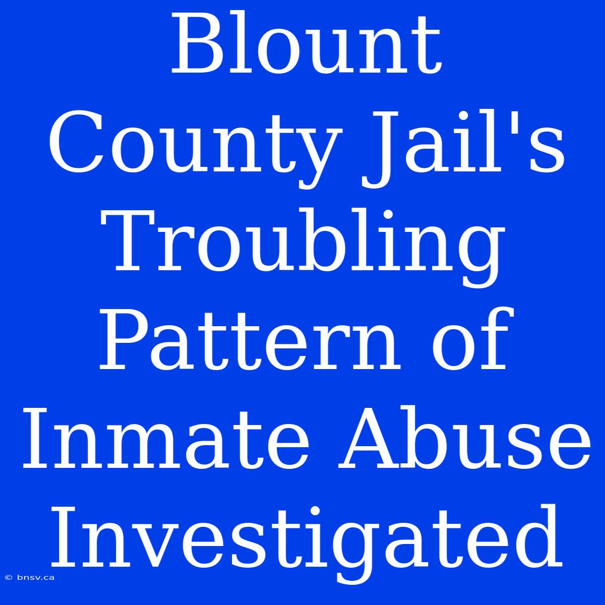 Blount County Jail's Troubling Pattern Of Inmate Abuse Investigated