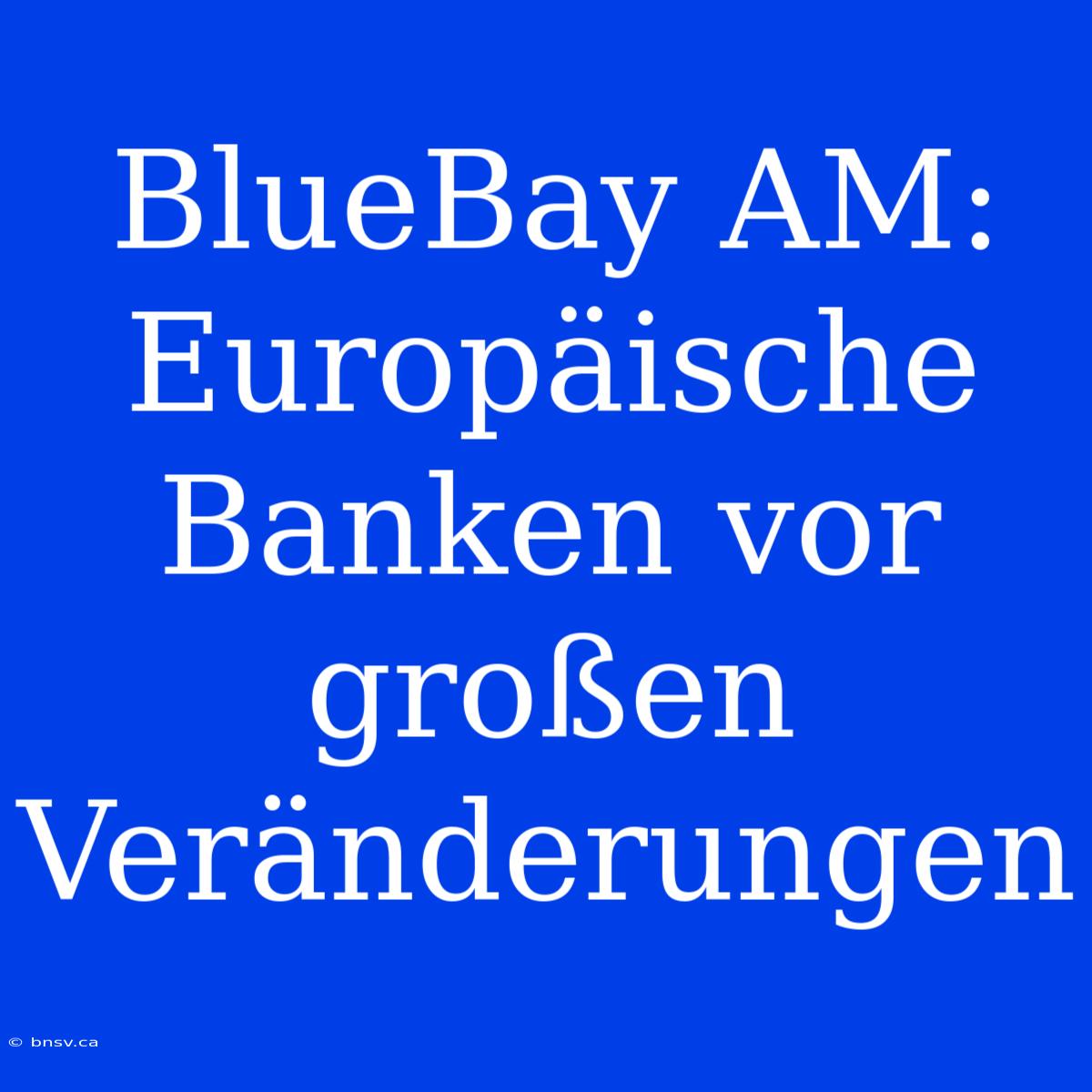 BlueBay AM: Europäische Banken Vor Großen Veränderungen